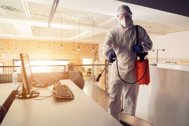 Dicas Infalíveis para Evitar Pragas e Ter uma Casa Livre de Insetos!